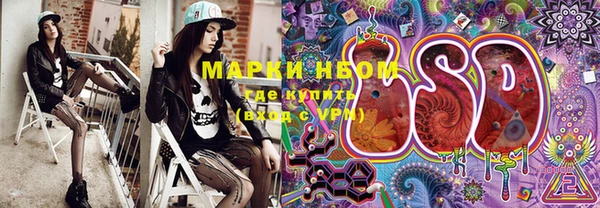 мдпв Инта