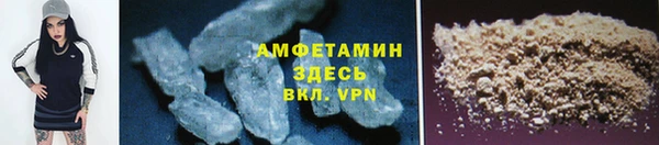 мдпв Инта