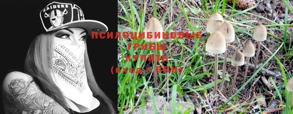 амф Каменск-Шахтинский