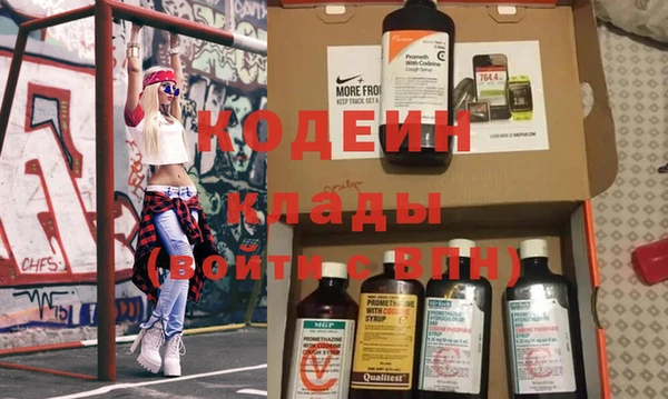 мдпв Инта