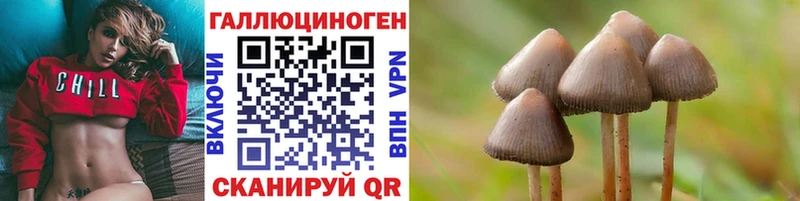 Купить закладки Орлов Галлюциногенные грибы Psilocybine cubensis